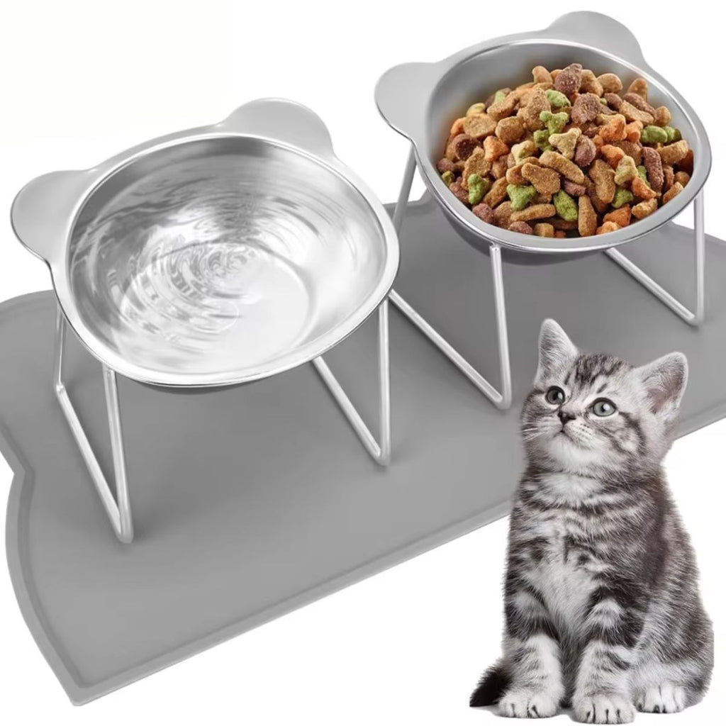Ergonomic 15° Tilted Stainless Steel Pet Bowl