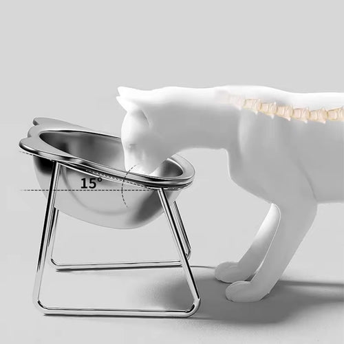 Ergonomic 15° Tilted Stainless Steel Pet Bowl
