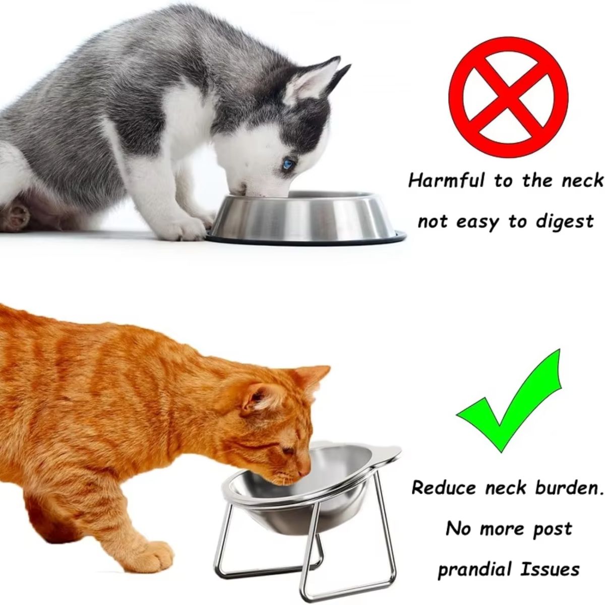 Ergonomic 15° Tilted Stainless Steel Pet Bowl